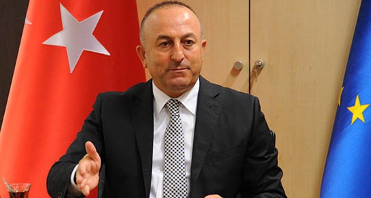 Turkish FM: Ankara, Tehran determined to expand ties