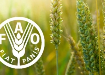 Iran honored with FAO award for fighting hunger