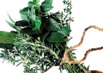 Iranian researchers develop herbal mouthwash
