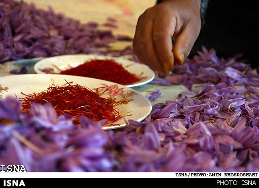 Iran saffron exports surpass $115 million 