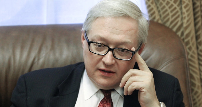 Iran nuclear talks look promising: Russian deputy FM