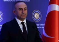 Turkey to train FSA militants: Cavusoglu