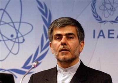 Iran capable of building, updating research reactors: Ex-official 