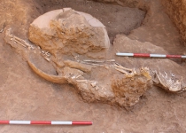 Archeological investigations uncover Elamite, Sassanid earthenware 
