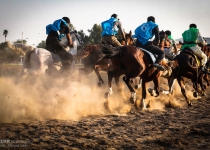 Photos: Bandar Abbas riding competitions   <img src="https://cdn.theiranproject.com/images/picture_icon.png" width="16" height="16" border="0" align="top">