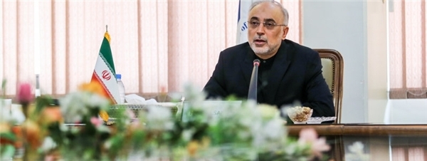 AEOI to construct settlement in Bushehr next week