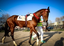 Photos: Horse racing in Gondab-e Kavous  <img src="https://cdn.theiranproject.com/images/picture_icon.png" width="16" height="16" border="0" align="top">