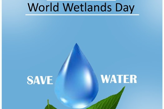 Hamoun to host World Wetlands Day ceremony