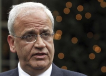 Palestinian decision to join ICC irreversible: official