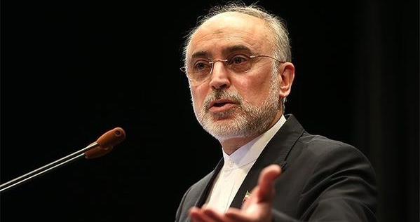 Iran ready to share nuclear experience with neighbors: AEOI head 
