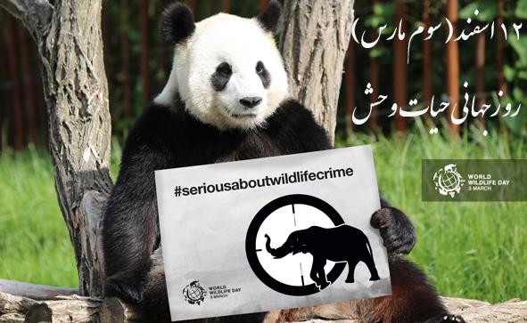 Iran to hold auction to mark World Wildlife Day