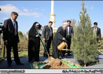 Rouhani plants sapling of peace and friendship in Ashgabat