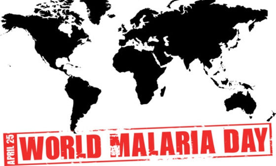 World Malaria Day: call to close gaps in prevention and treatment