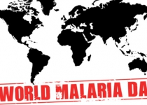 World Malaria Day: call to close gaps in prevention and treatment