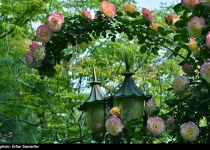 Photos: Spring nature of Shiraz  <img src="https://cdn.theiranproject.com/images/picture_icon.png" width="16" height="16" border="0" align="top">