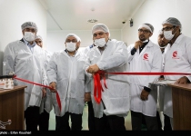 Photos: Iran displays new domestically-made medicines  <img src="https://cdn.theiranproject.com/images/picture_icon.png" width="16" height="16" border="0" align="top">