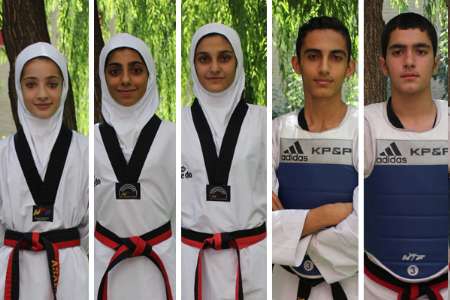 Iran bags 5 gold medals at Taekwondo champs