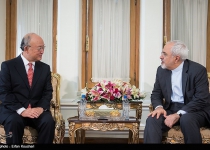 Zarif, Amano review Iran, IAEA cooperation