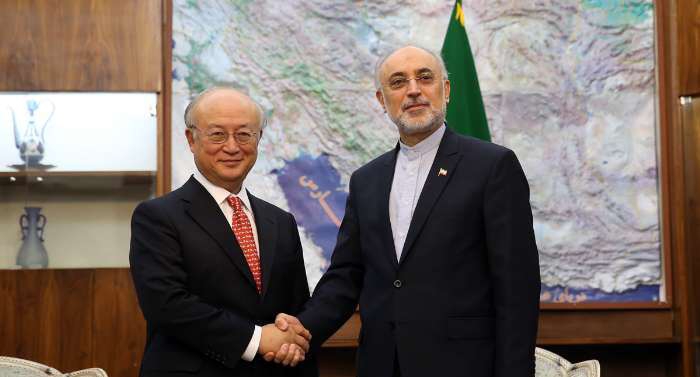 Irans Salehi, IAEA chief hold talks in Tehran