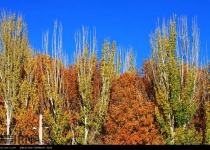 Photos: Autumn in Shahrekord and Borujerd  <img src="https://cdn.theiranproject.com/images/picture_icon.png" width="16" height="16" border="0" align="top">