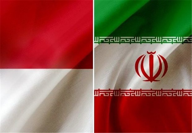 Indonesian parliamentary delegation to visit Tehran
