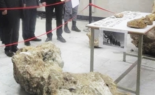 Iran ancient fossils returned from US