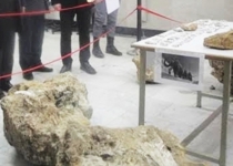 Iran ancient fossils returned from US