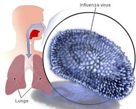 Iran ranks 2nd in well-timed influenza diagnosis