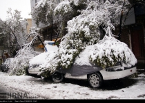 Photos: Spring snow in Tabriz  <img src="https://cdn.theiranproject.com/images/picture_icon.png" width="16" height="16" border="0" align="top">
