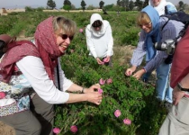 Belgian tourists visit rose water distillation workshops in Aran-bidgol