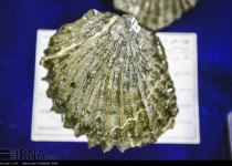 Photos: Iran unveils seven-million-year-old fossils  <img src="https://cdn.theiranproject.com/images/picture_icon.png" width="16" height="16" border="0" align="top">