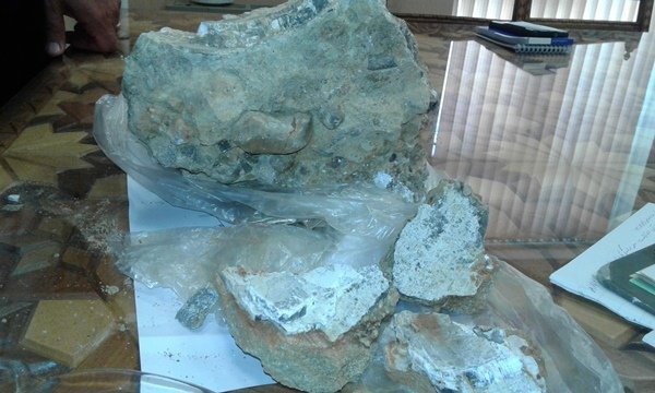 Remnants of 2m-year-old elephant discovered in Iran