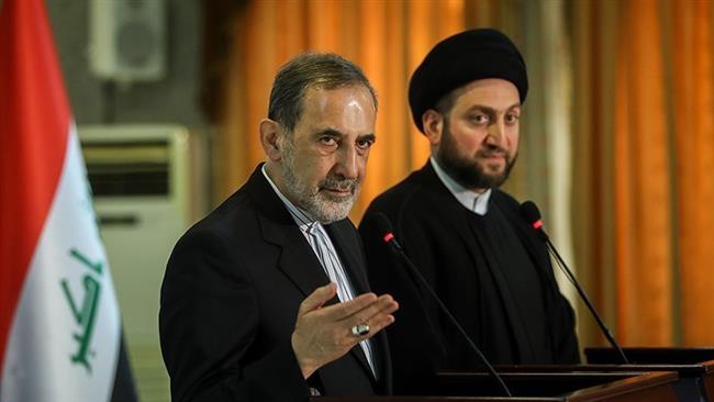 Iran to stand by Iraqi nation in anti-terror battle: Velayati