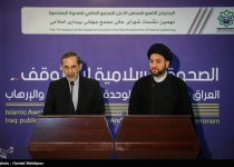 Irans Velayati highlights manifestations of Islamic Awakening in region