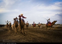 Photos: Camel riding competition in Bandar Turkman  <img src="https://cdn.theiranproject.com/images/picture_icon.png" width="16" height="16" border="0" align="top">