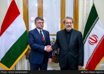 Larijani confers with Hungarian counterpart