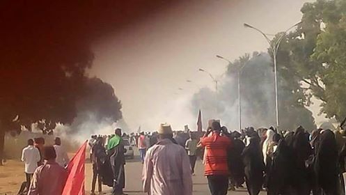 One martyred, several injured as Nigerian forces attack Shia rally ahead of Arbaeen