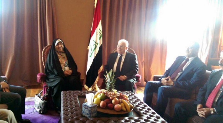 Senior environment official discusses dust pollution with Iraqi president
