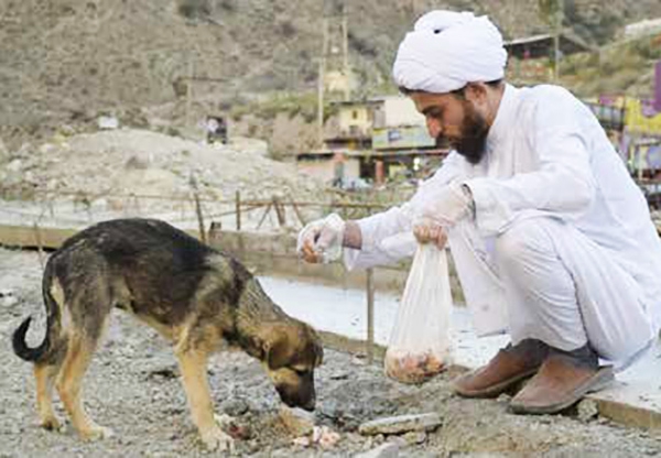 Young Iranian cleric saves animals lives