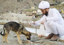 Young Iranian cleric saves animals lives