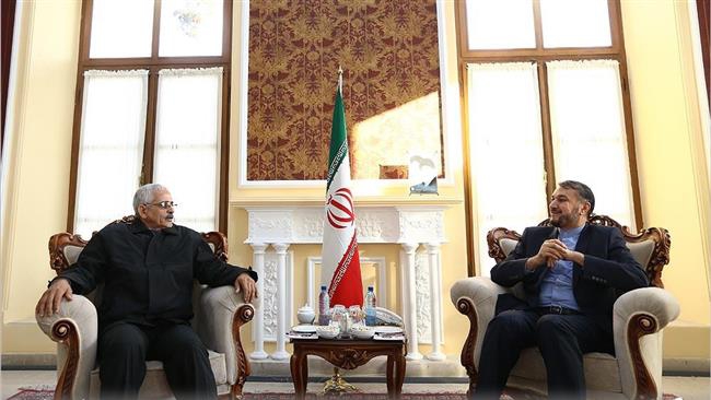 Iran welcomes any bid based on diplomacy to solve Syria crisis: Official