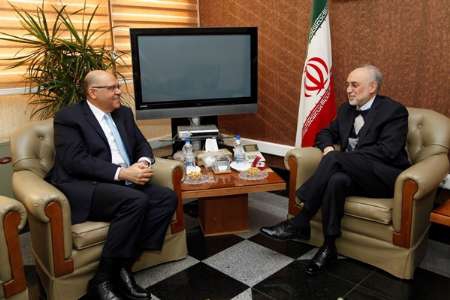 Iran, Egypt review diplomatic ties