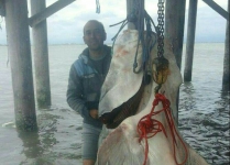 600kg beluga caught from Caspian Sea