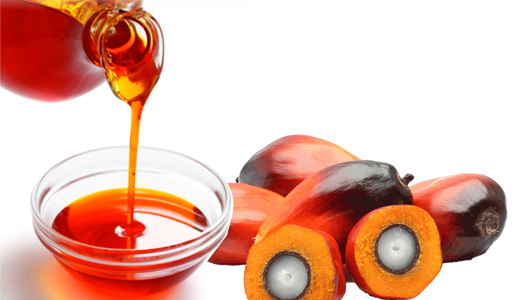 Iran palm oil market to top $600m by 2025