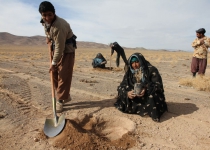 Iran and UNDP strengthen efforts to combat desertification