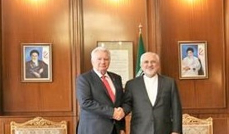 Irans Zarif, Hungarys vice-speaker discuss Tehran-Budapest ties