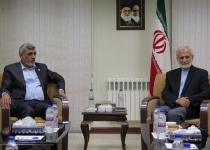 Backing Palestine at core of Irans foreign policy: Official