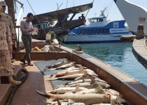 Iran seizes trespassing fishing boat in Persian Gulf