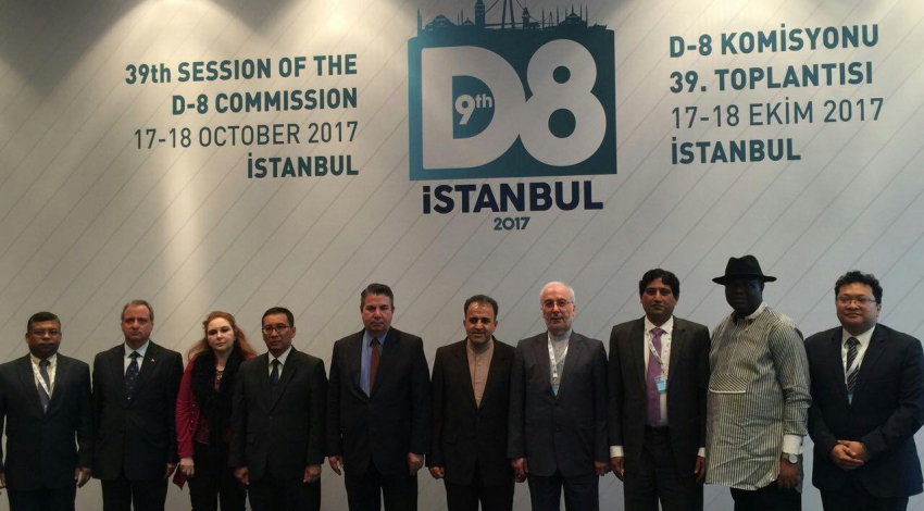 D8 preliminary session begins in Istanbul