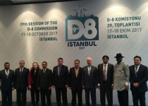 D8 preliminary session begins in Istanbul